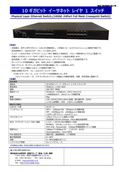 10 ギガビット イーサネット レイヤ 1 スイッチ