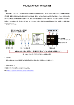 つまようじを用いた RT