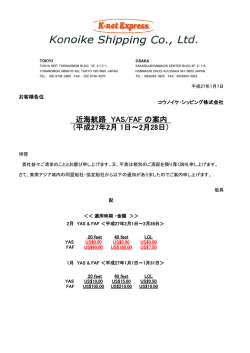 近海航路 YAS/FAF の案内