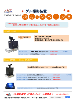 キ ヤ ン ペ ー ン !! 秋