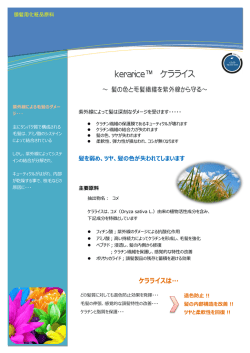 Information Technology Solutions