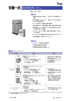 真空蒸気加熱システム VM-H