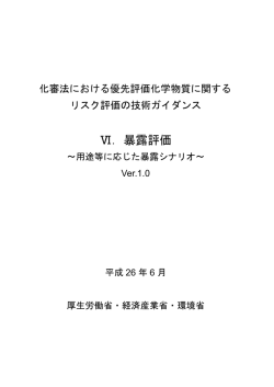 Ⅵ．暴露評価 - 経済産業省