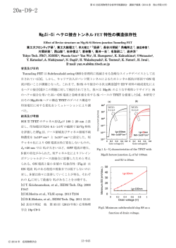 Mg 2 Si-Si ヘテロ接合トンネルFET 特性の構造依存