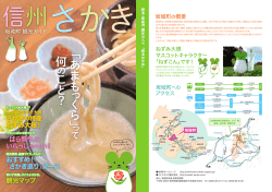 観光パンフレット（PDF）