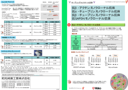 抗アクチン, 抗チューブリン, 抗GAPDHモノクローナル抗体