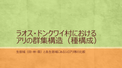 ラオス・ドンクワイ村における アリの群集構造（種構成）