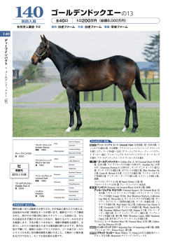 ゴールデンドックエーの13 - サンデーサラブレッドクラブ