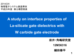 W - 岩井・角嶋研究室