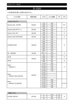 カスタムシャフト - フォーティーン