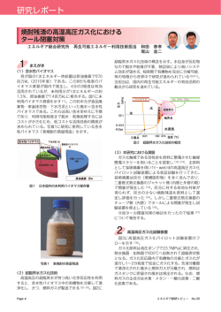 焼酎残渣の高温高圧ガス化におけるタール閉塞対策