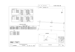地 積 測 量 図