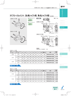 XYフリージョイント