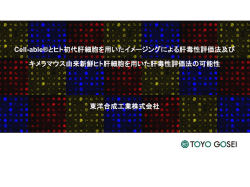 発表資料はこちら(2.40MB)