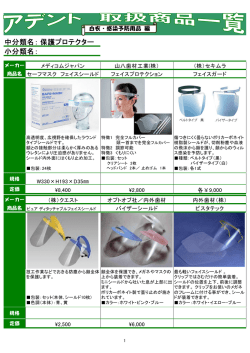 中分類名： 小分類名： 保護プロテクター