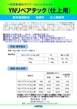 YNリペアテック（仕上用） 一材型急硬性ポリマーセメント