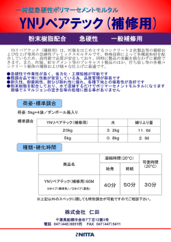 YNリペアテック（補修用）一材型急硬性ポリマーセメント