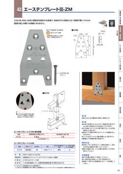 42 エーステンプレートIII-ZM