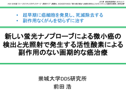 当日配布資料（1.73MB）