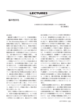 脳の性分化 (佐久間康夫)