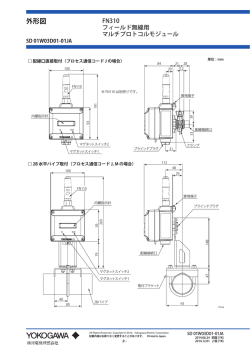 FN310 フィールド無線用マルチプロトコルモジュール