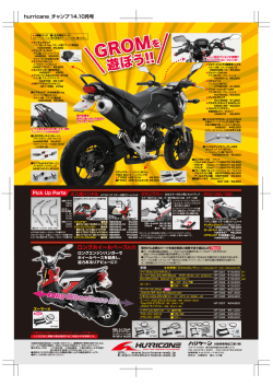 Web版（PDF形式）