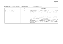 Vespa velutina Vespa velutina V. v. nigrithorax
