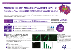 Molecular Probes&reg; Alexa Fluor&reg; 二次抗体キャンペーン
