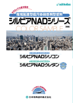 シルビアNADシリコン