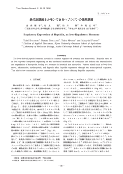 鉄代謝調節ホルモンであるヘプシジンの発現調節