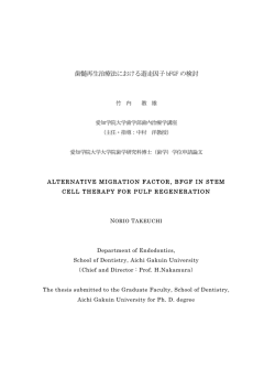 歯髄再生治療法における遊走因子bFGF の検討