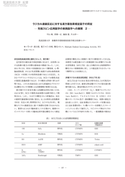 ラジカル連鎖反応に対する漢方薬効果規定因子の同定