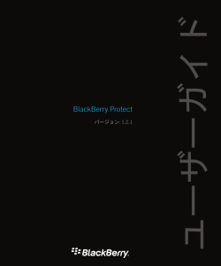 BlackBerry Protect
