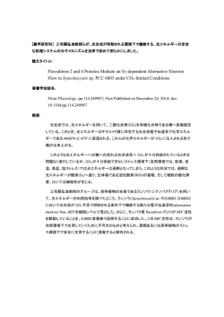 Flavodiiron 2 and 4 Proteins Mediate an O2