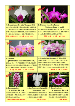 LIST 53special  へのリンク