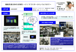 機能性蛍光体の光物性－ナノクラスターからバルクまで
