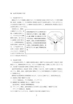 Ⅲ．血清学的診断の方法 1．抗血清の作り方 動物はウイルスや細菌に
