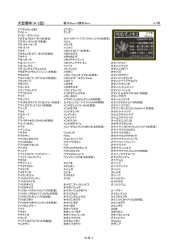 大型標準（A-2型）