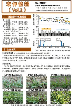 麦作情報Vol.2