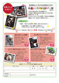 原木しいたけのオーナー制