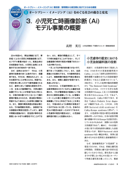 3． 小児死亡時画像診断（Ai) モデル事業の概要