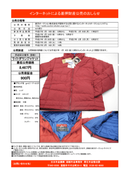 インターネット公売情報1月開催分(動産）(PDF形式