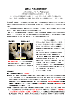 節性リンパ球系病変の細胞診 - 日本臨床細胞学会群馬県支部