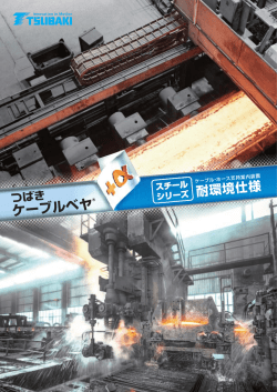 ケーブルベヤ - 椿本チエイン