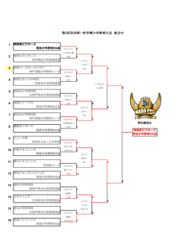 ダウンロード - 西宮少年野球NS会