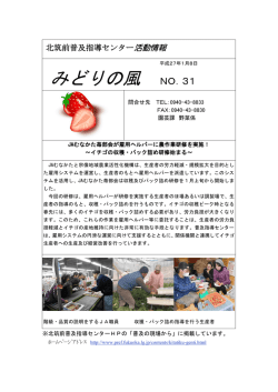 みどりの風 NO．31