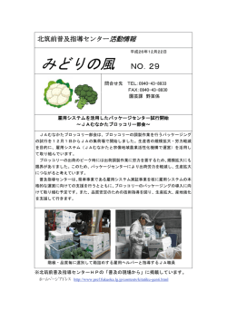 みどりの風 NO．29