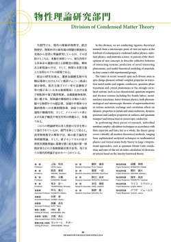 物性理論研究部門