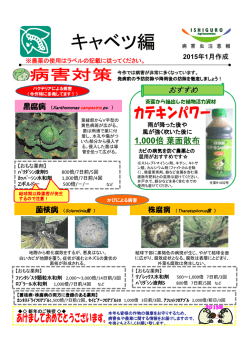 病害虫注意報1月号 キャベツ編はこちらからご覧いただけます。