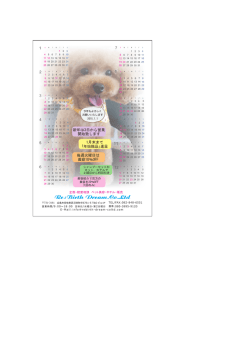 Re:Birth Dream.Co.Ltd